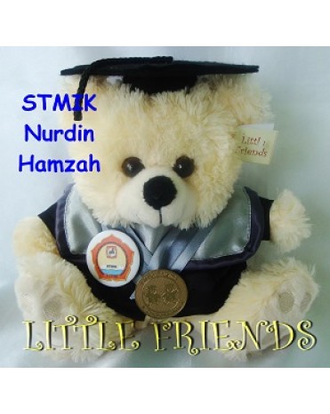 Boneka Wisuda STMIK Nurdin Hamzah - Sistem Informasi (25 cm)